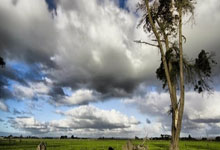 揭秘天涯神贴六大家族的江湖恩怨